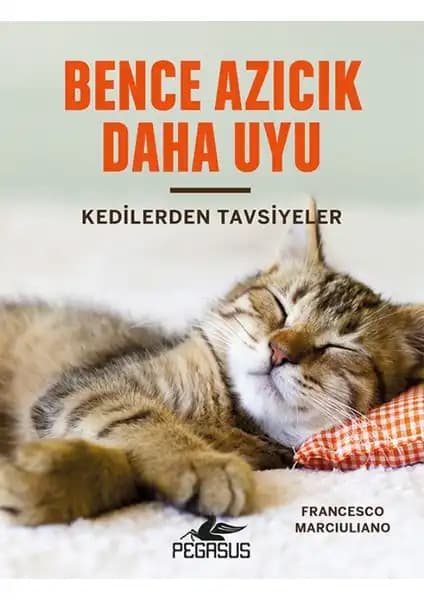 Kedilerden İlham Alan Bir Rehber: 