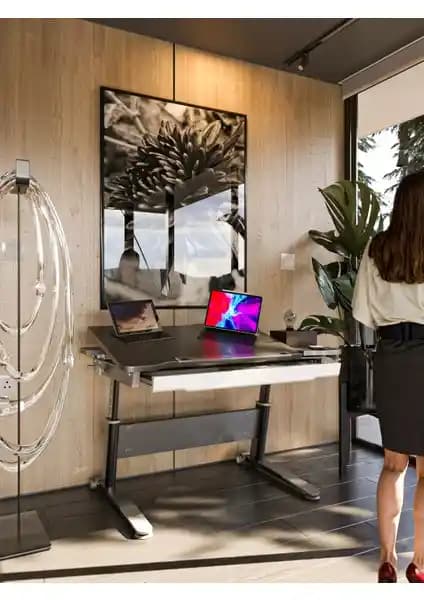 Creo Mobili Sirius Basic ve Standart Ergonomik Öğrenci Masası Karşılaştırması