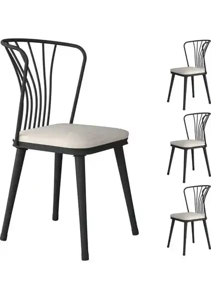 Rani JB104 ve JB108 Metal Sandalye Modellerinin Detaylı Karşılaştırması