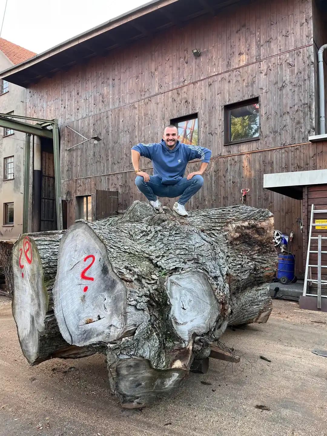 Dev Karaağaç Kütüğünden Ahşap Levha Üretimi ve İşleme Teknikleri