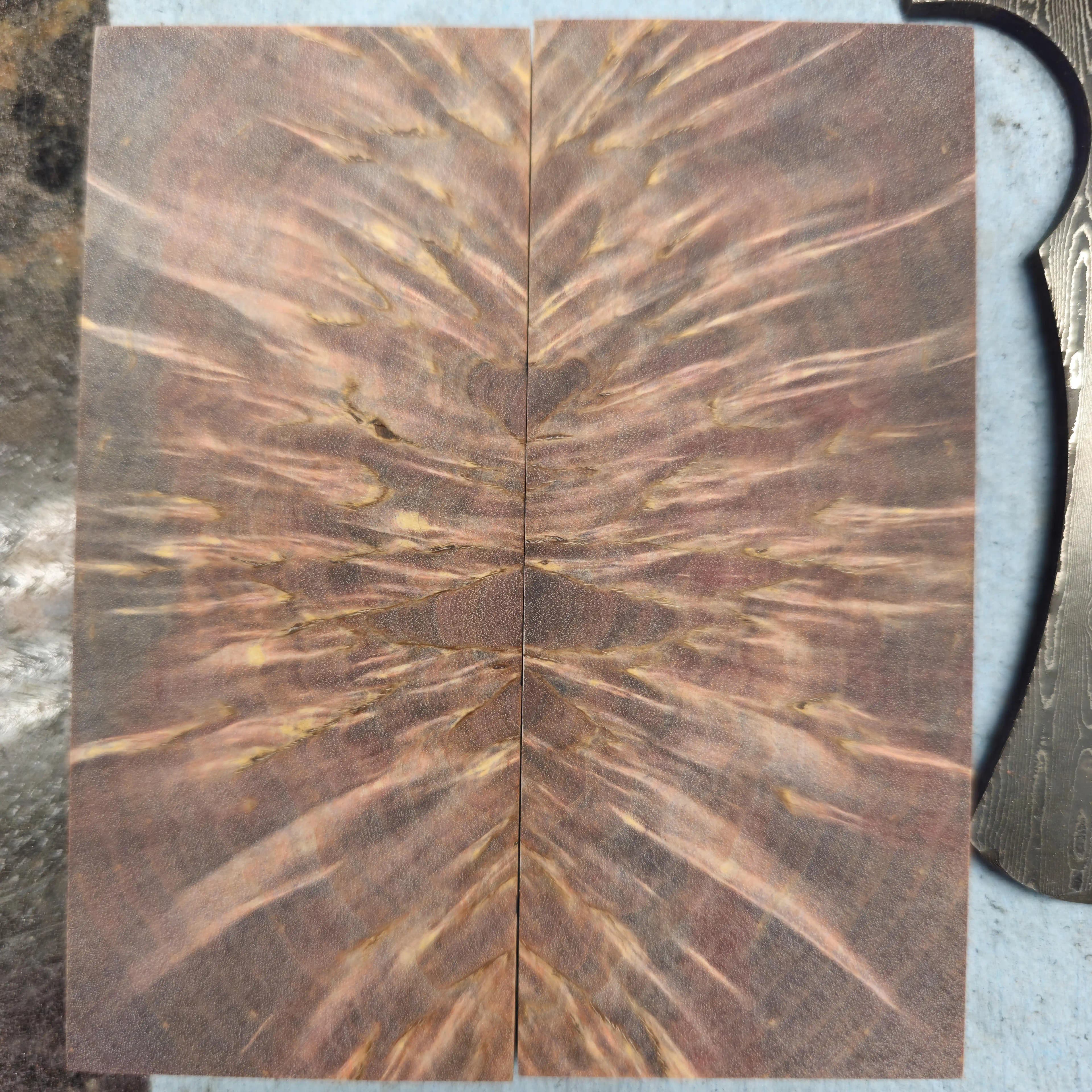 Rus Huş Ağacı: Ahşap İşçiliğinde Nadir ve Çok Renkli Bir Malzeme