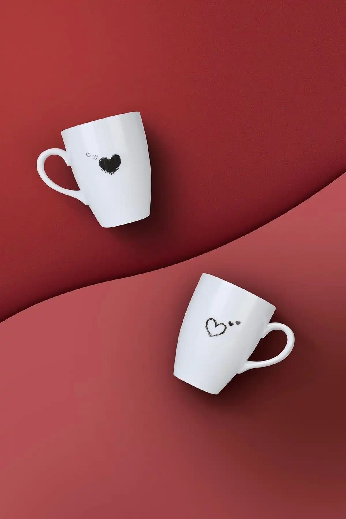 Kütahya Porselen Pretty 2 Parça Mug Bardak Seti Zarif ve Dayanıklı Tasarımıyla Günlük Kullanım İçin Uygun