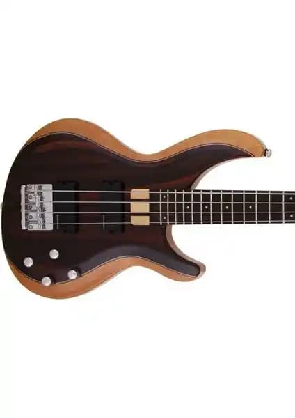 Aria Igbrosıe Bas Gitar: Profesyonel ve Başlangıç Seviyesine Uygun Müzik Enstrümanı