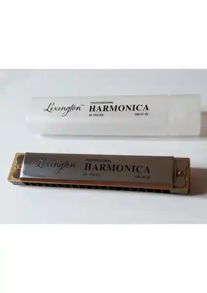 Cremonia Lexington Hm0120 Mızıka: Uygun Fiyatlı ve Kullanışlı Başlangıç Harmonikasının Özellikleri