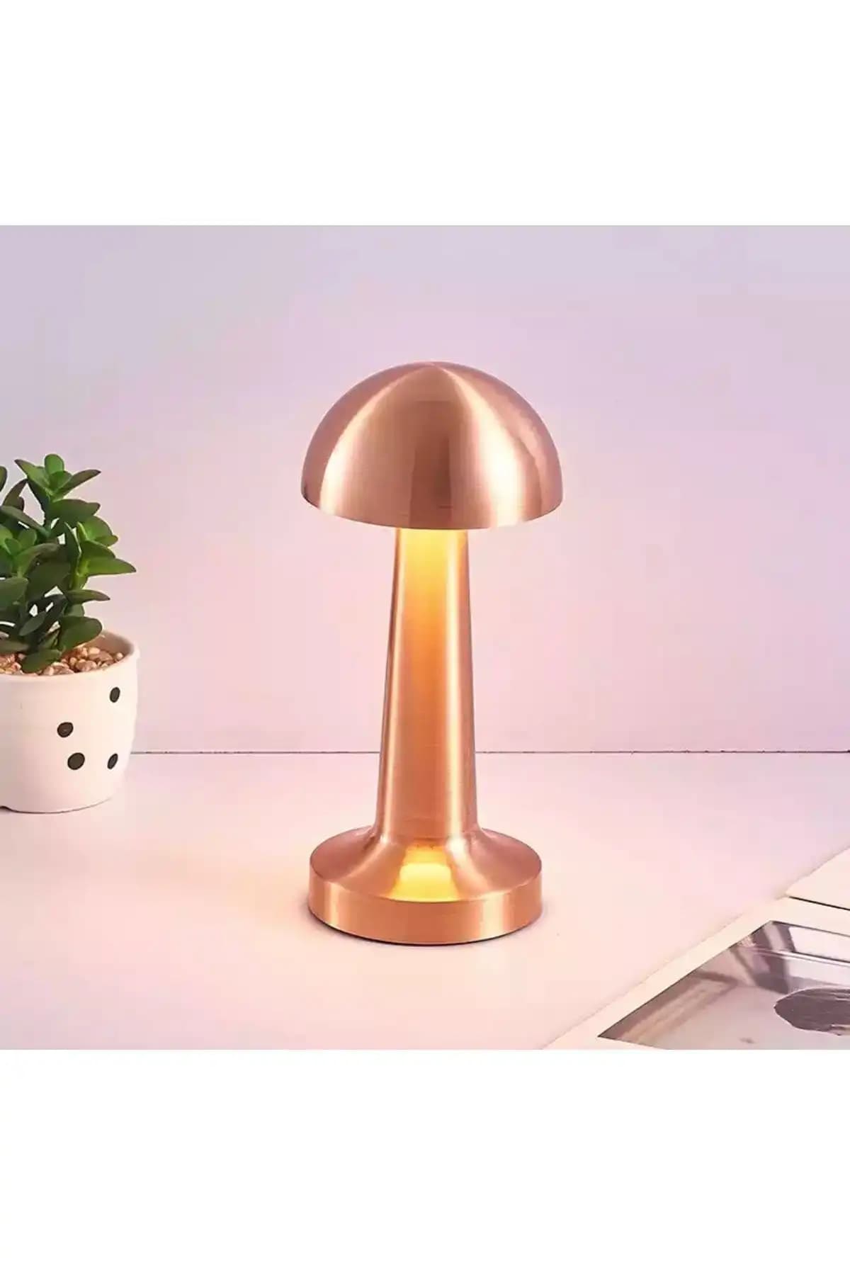Burenze Modern LED Abajur ve Vivido Beyaz Krom Abajur Karşılaştırması 1