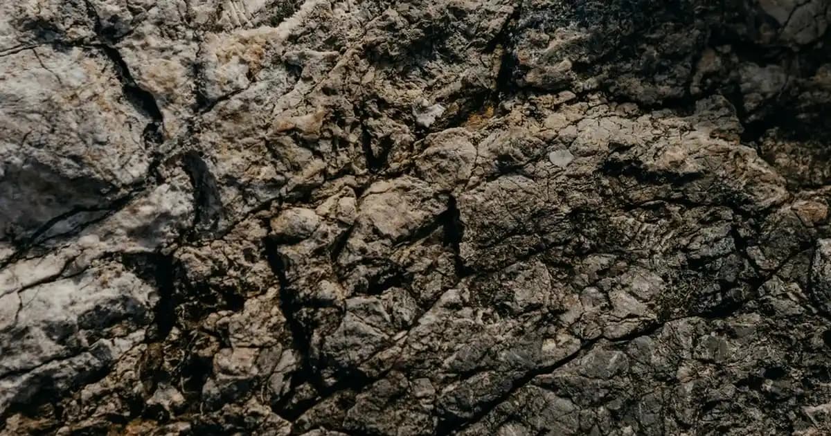 Bim Yün Yorgan: Doğal Malzeme ile Konforlu ve Sağlıklı Uyku Seçeneği