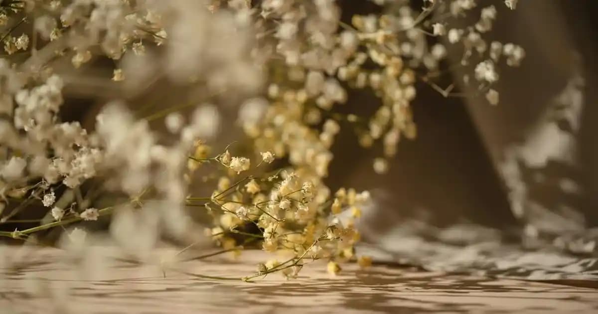 IKEA Mobilya ve Yapışkan Rulo Ürünleri: İkinci El Pazarında Değerlendirme