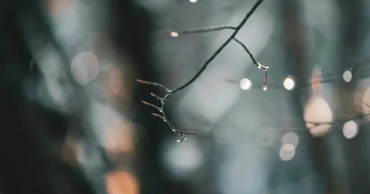 İskandinav Dresuar: Minimalist Tasarım ve Fonksiyonellik Üzerine Genel Bir Değerlendirme