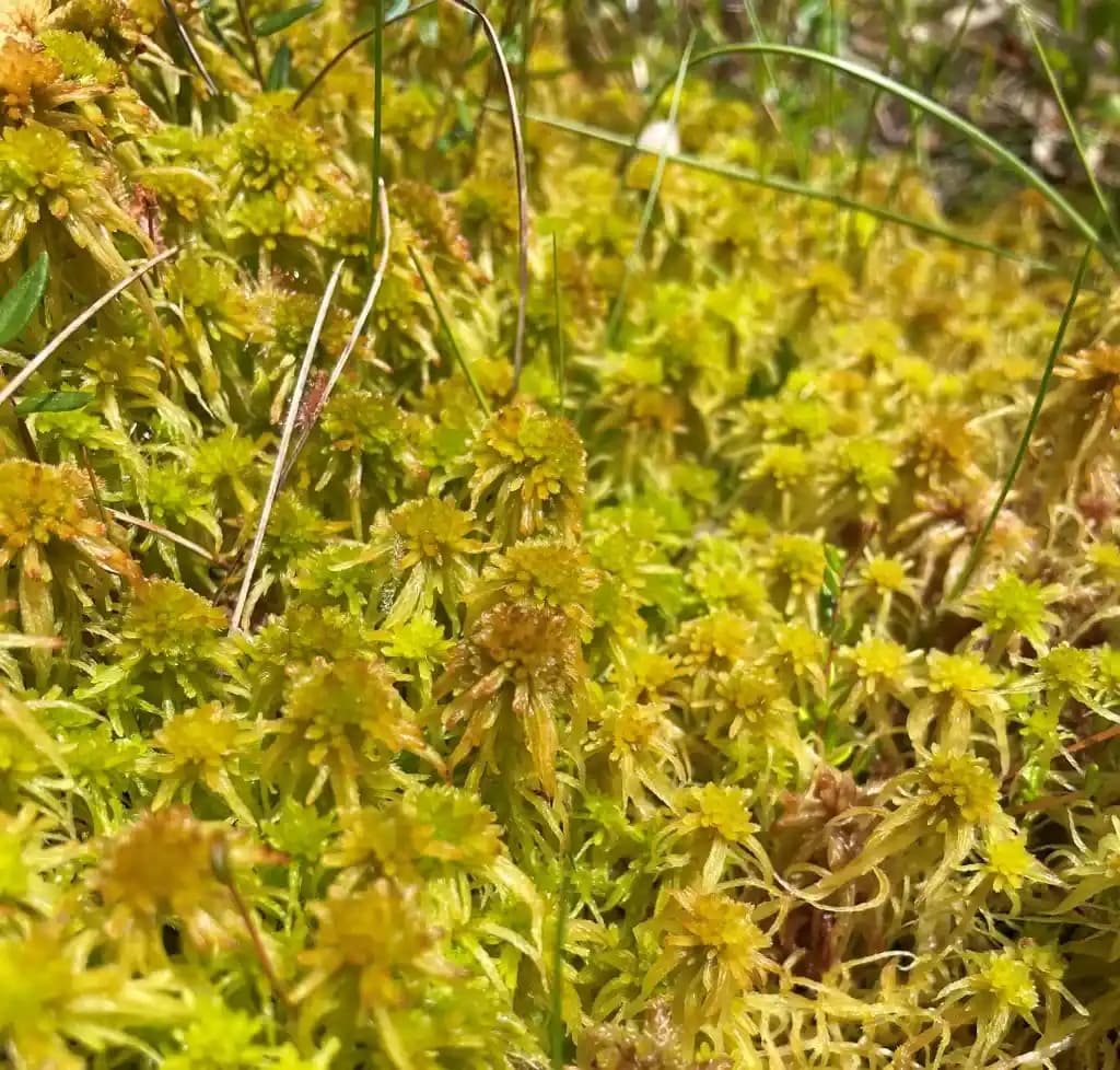 Mobilya ve Ev Tekstilinde Ölçü Birimleri ve Santimetre-Ayak Dönüşümleri Hakkında Bilgi