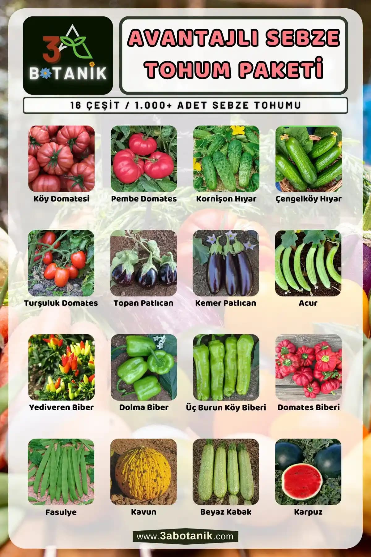 Sebze Tohumu Markaları Hakkında Arama Sonuçları ve Bilgi Kısıtlılıklarının Değerlendirilmesi