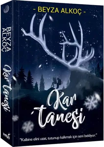 Beyza Alkoç'un Kar Tanesi Kitabı İncelemesi ve Değerlendirmesi