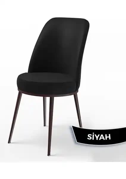 Canisa Mutfak Sandalyeleri Karşılaştırması: Dexa ve Pefa Serileri Özellikleri