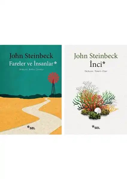 John Steinbeck'in Edebi Mirası ve Toplumsal Eleştirileri Üzerine Bir İnceleme