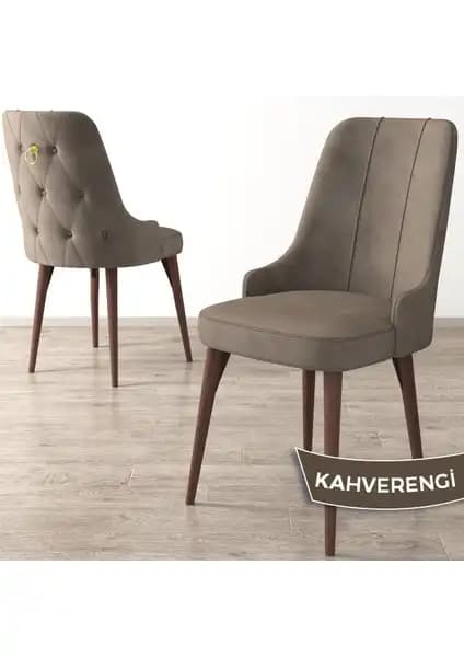 Canisa Concept Enoa ve Flex Serisi Sandalyelerin Detaylı Karşılaştırması ve Özellikleri 1