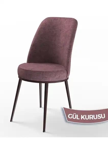 Canisa Dexa ve Pefa Serisi Mutfak Sandalyeleri Karşılaştırması 2023 1