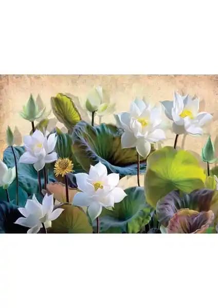 Nova Puzzle 1000 Parça Beyaz Nilüfer Çiçekleri Puzzle Doğa ve Sanat Temalı Zihin Egzersizi