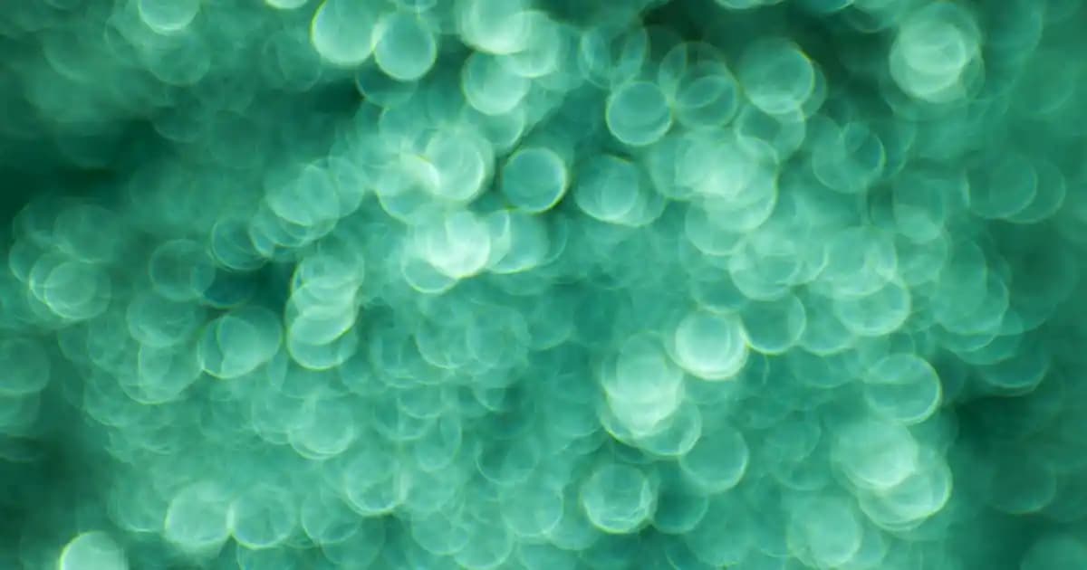 Takı Toplama Kutuları ile Takılarınızı Güvenle ve Şık Bir Şekilde Saklayın