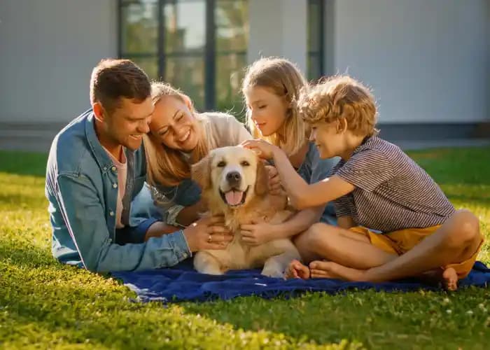 Çocuk ve Evcil Hayvan Dostu Yıkanabilir Kanepe Seçenekleri ve Kumaş Tercihleri