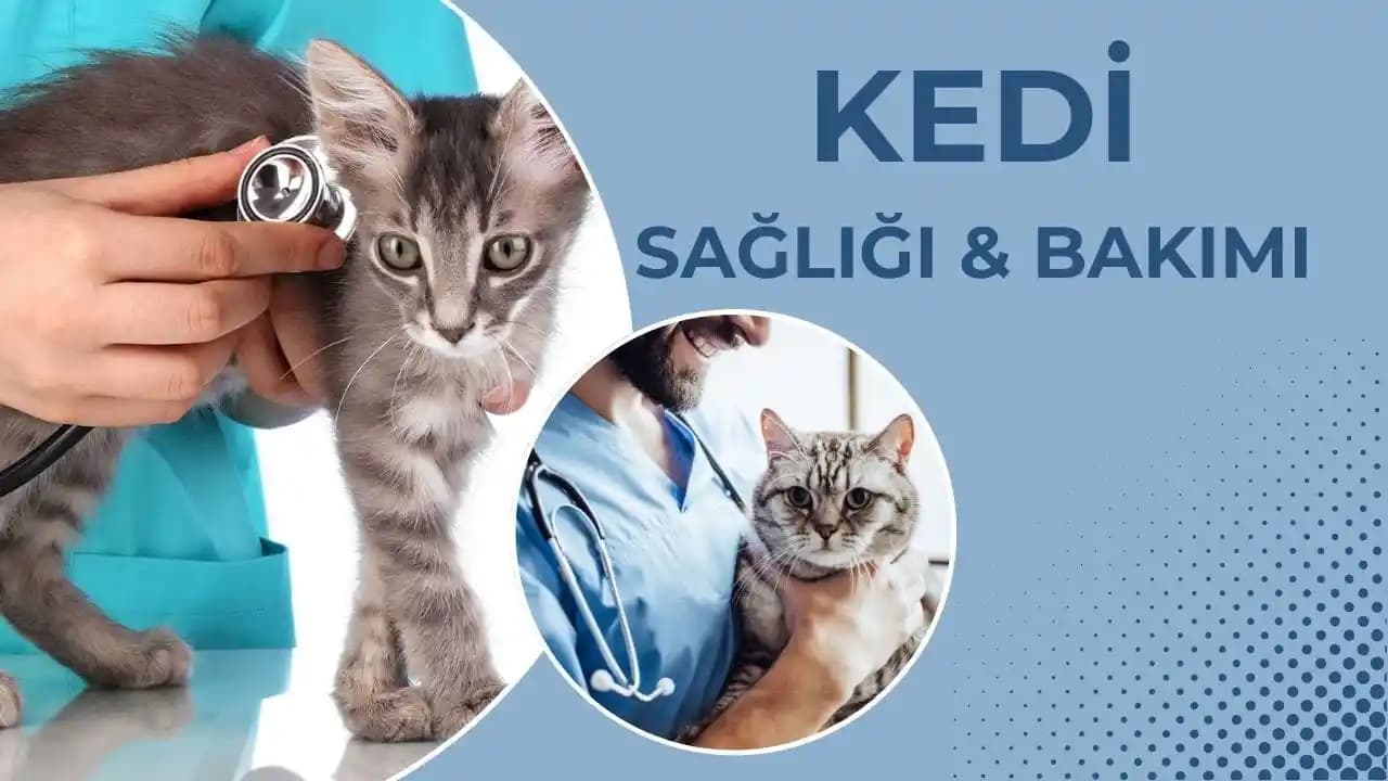 Kediler ve Çocuklar İçin Dayanıklı ve Temizlenebilir Kanepe Kumaşları Seçimi