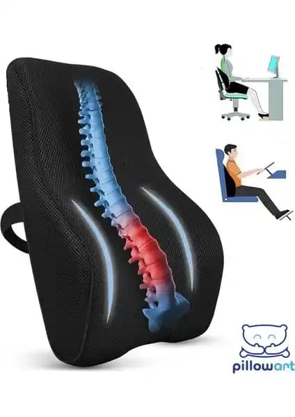 Pillowart Visko Sırt Minderi ve Viscomina Visco Bel Yastığı Karşılaştırması