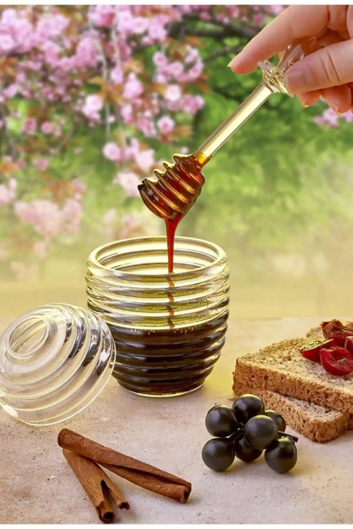 Vigentino Kovan Şekilli Kristal Bal Kavanozu Seti Modern ve Şık Tasarım