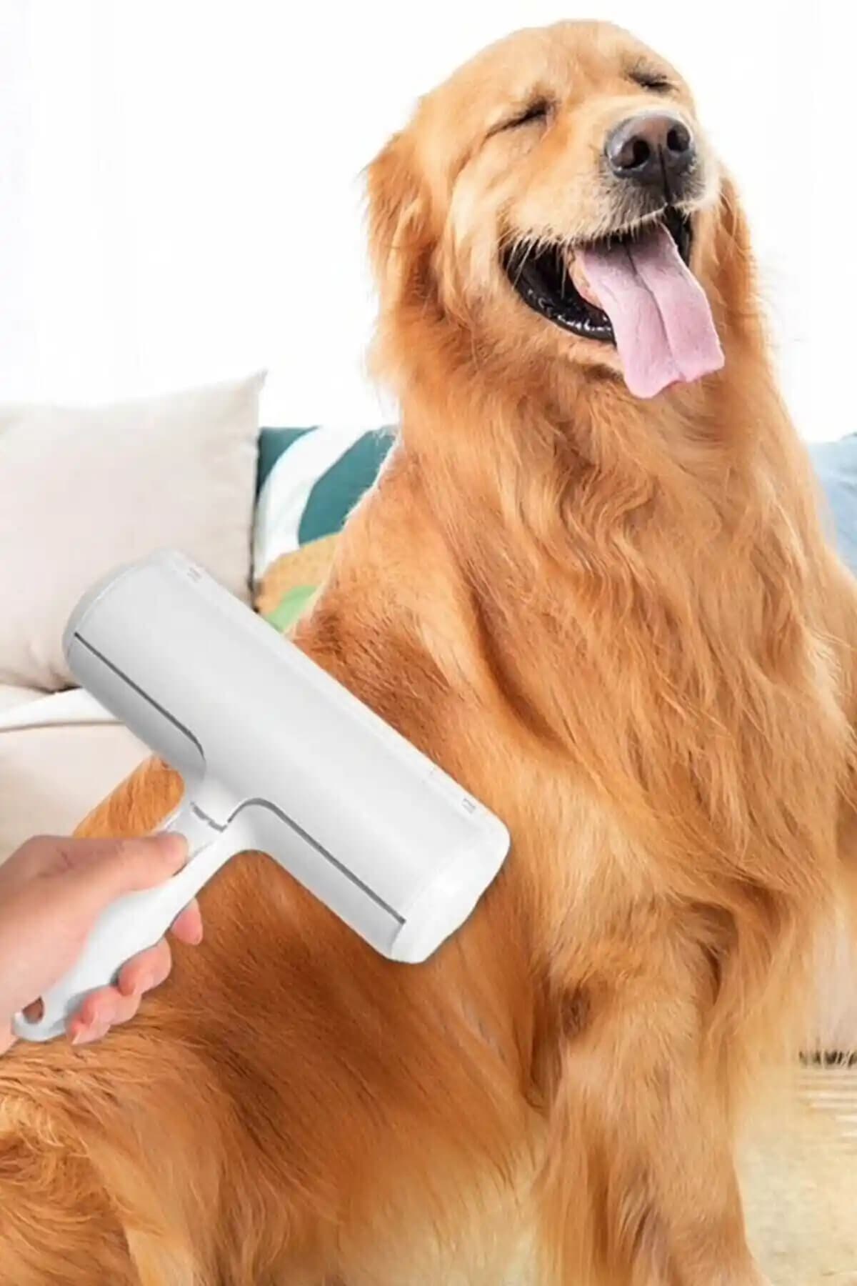 Evcil Hayvan Tüyleri İçin En İyi Tüy Toplama Ürünleri Karşılaştırması ve İncelemeleri