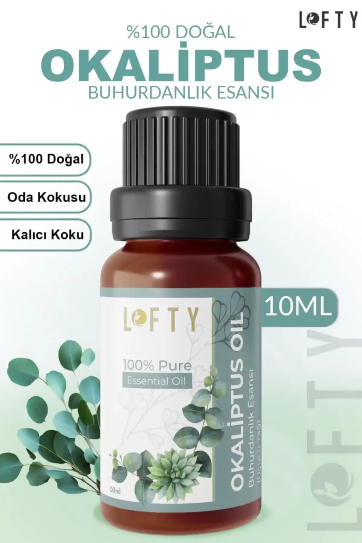 Lofty Okaliptus Uçucu Yağ Buhurdanlık Esansı Doğal ve Ferahlatıcı Aromaterapi Ürünü