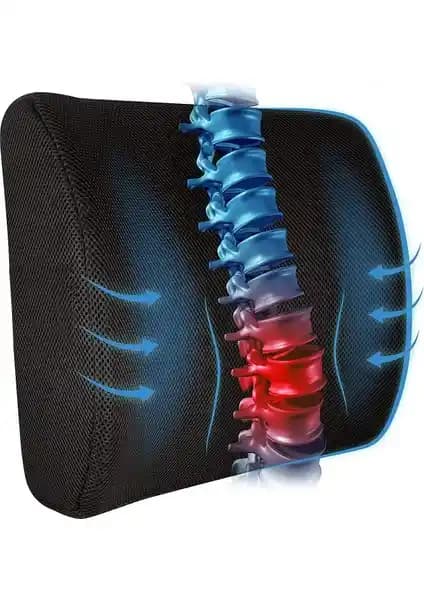 Akselife Visco Ortopedik Bel Sırt Minderi: Ergonomik Destek ve Uzun Ömürlü Konfor
