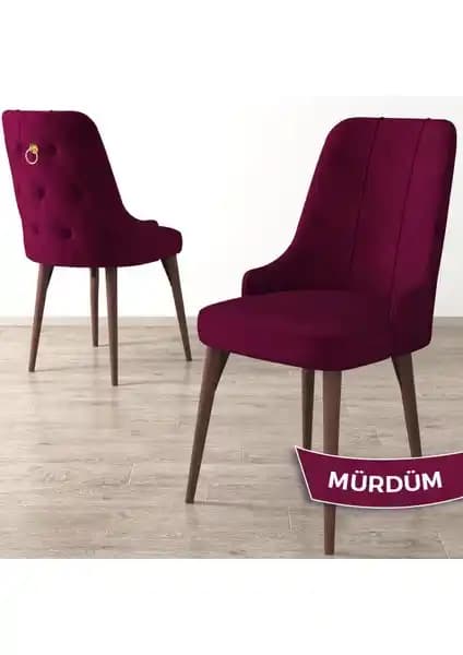 Canisa Concept Enoa Serisi Ceviz Gürgen Ahşap Modern Sandalye Tasarımı ve Kullanım Özellikleri