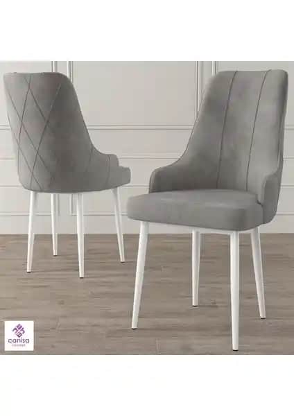 Canisa Concept Trex Serisi Modern ve Dayanıklı Metal Ayaklı Sandalye Ürün Tanıtımı