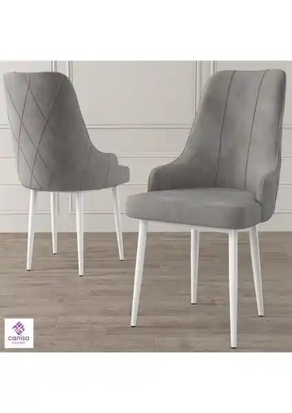 Canisa Concept Trex Serisi Modern ve Dayanıklı Metal Ayaklı Sandalye Ürün Tanıtımı