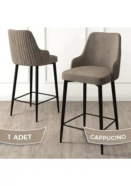 Canisa Enox Serisi Mutfak ve Bar Sandalyesi Modern Tasarım ve Dayanıklılık Sağlar