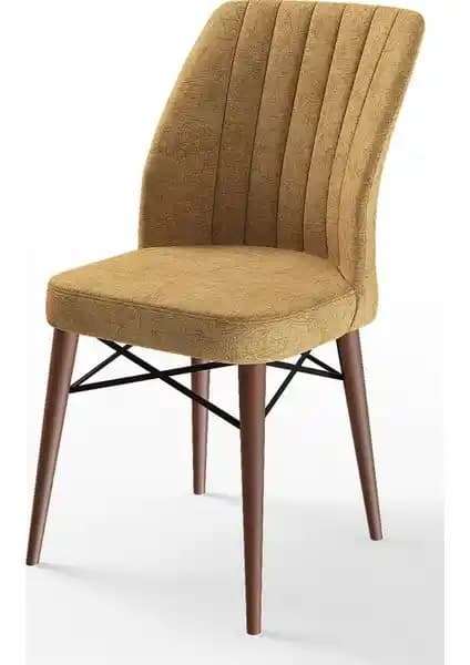 Canisa Flex Serisi Gürgen Ayaklı 1. Sınıf Sandalye Estetik ve Fonksiyonellik Bir Arada