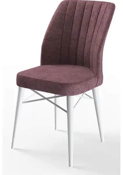 Canisa Flex Serisi Gürgen Ayaklı Modern Sandalye Tasarımı ve Özellikleri