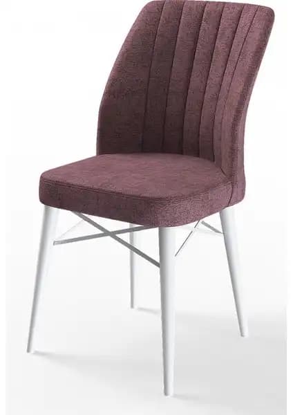 Canisa Flex Serisi Gürgen Ayaklı Modern Sandalye Tasarımı ve Özellikleri