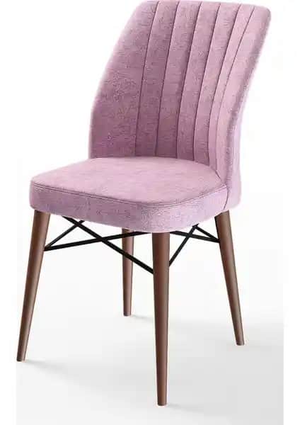 Canisa Flex Serisi Gürgen Ayaklı Sandalye Modern Tasarım ve Yüksek Konfor Özellikleriyle