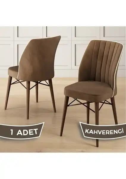 Canisa Nuna Serisi Mutfak Sandalyesi: Modern Tasarım ve Dayanıklılık Bir Arada