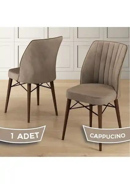 Canisa Nuna Serisi Mutfak Sandalyesi Modern Tasarım ve Dayanıklılık Özellikleriyle