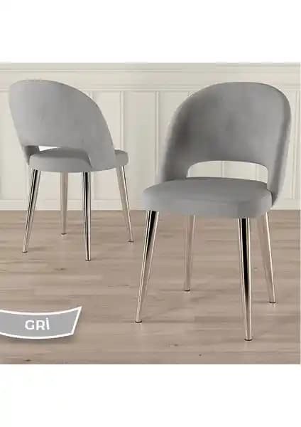 Canisa Pane Serisi Mutfak Sandalyeleri Modern Tasarım ve Dayanıklılık Sağlayan Ürün