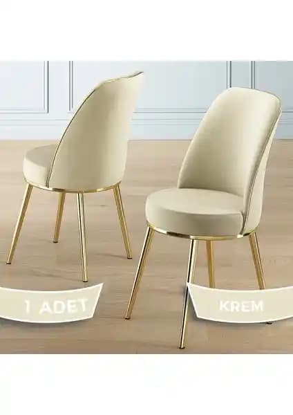 Canisa Pefa Serisi Mutfak Sandalyesi Modern Tasarım ve Dayanıklılık Bir Arada