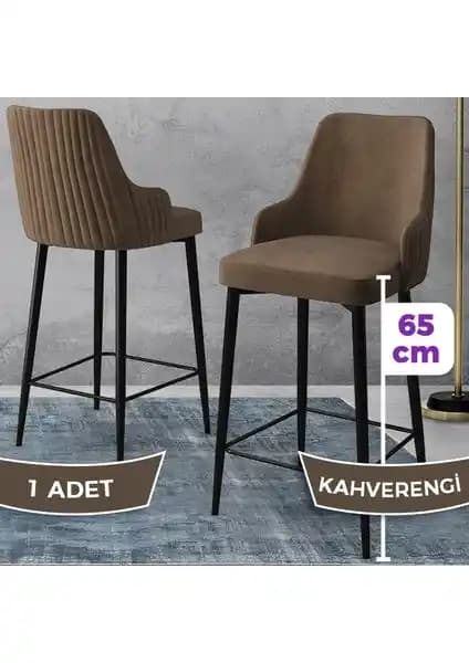 Canisa Tera Serisi Mutfak ve Bar Sandalyesi Modern Tasarım ve Dayanıklı Kullanım Özellikleri