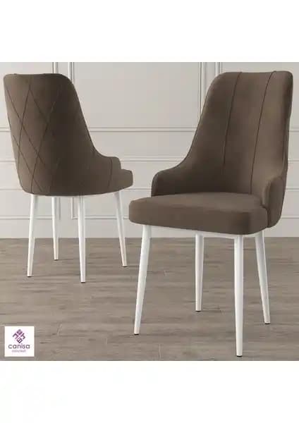 Canisa Trex Serisi Ofis ve Ev İçin Modern Tasarım ve Dayanıklı Oturma Çözümleri