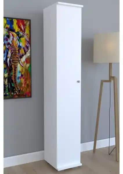 Remaks Konak 6 Raflı Tek Kapaklı Çok Amaçlı Boy Dolabı İncelemesi ve Kullanıcı Yorumları