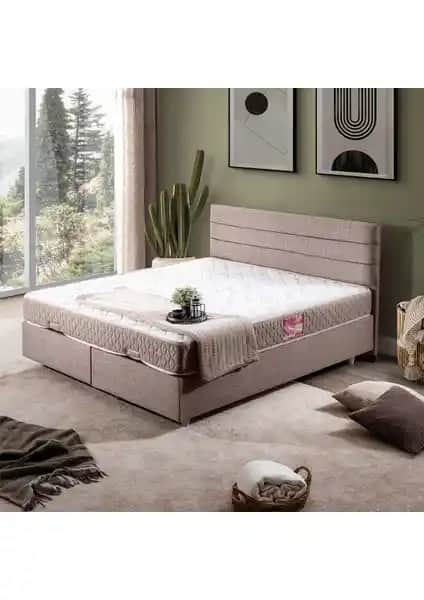 Setay Sofia İkili Baza ve Başlık Seti Modern Tasarım ve Dayanıklılık Sunar