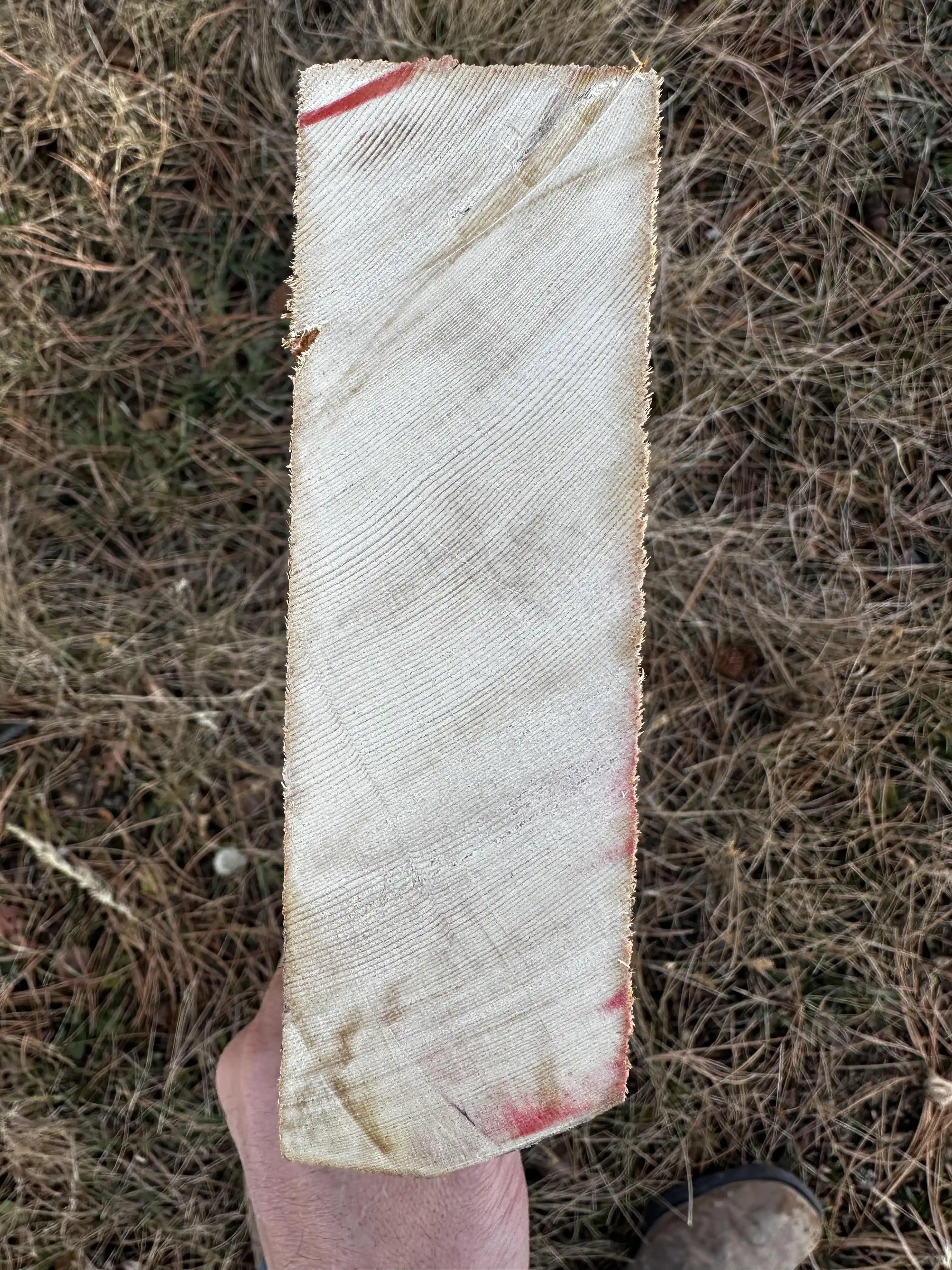 1907 Stanley Oteli'nden Çıkarılan Yaklaşık 600 Yaşında Sık Dokulu Ahşabın Özellikleri