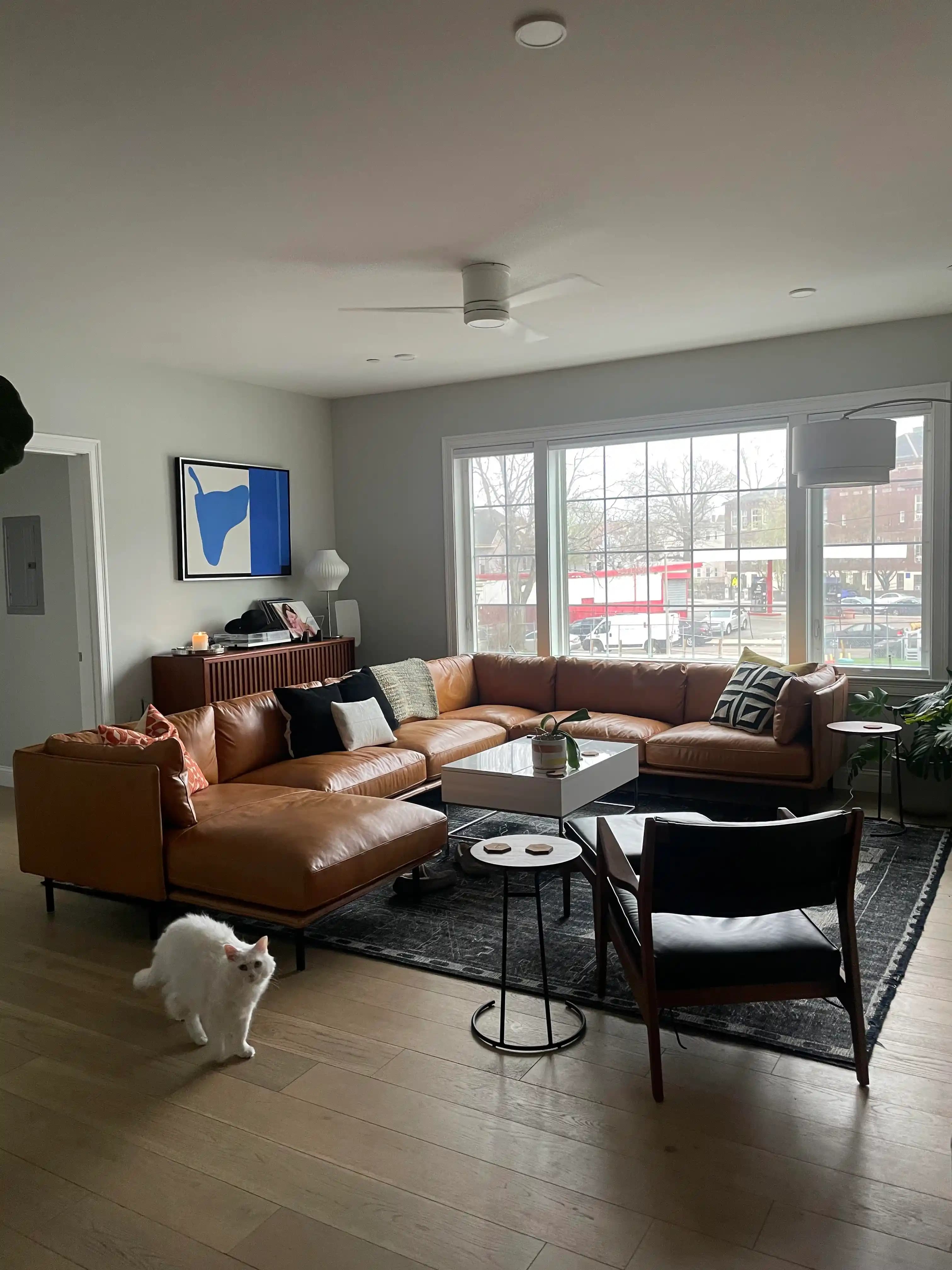 Deri Köşe Koltukların Özellikleri, Evcil Hayvanlarla Uyumu ve Kullanım Deneyimleri