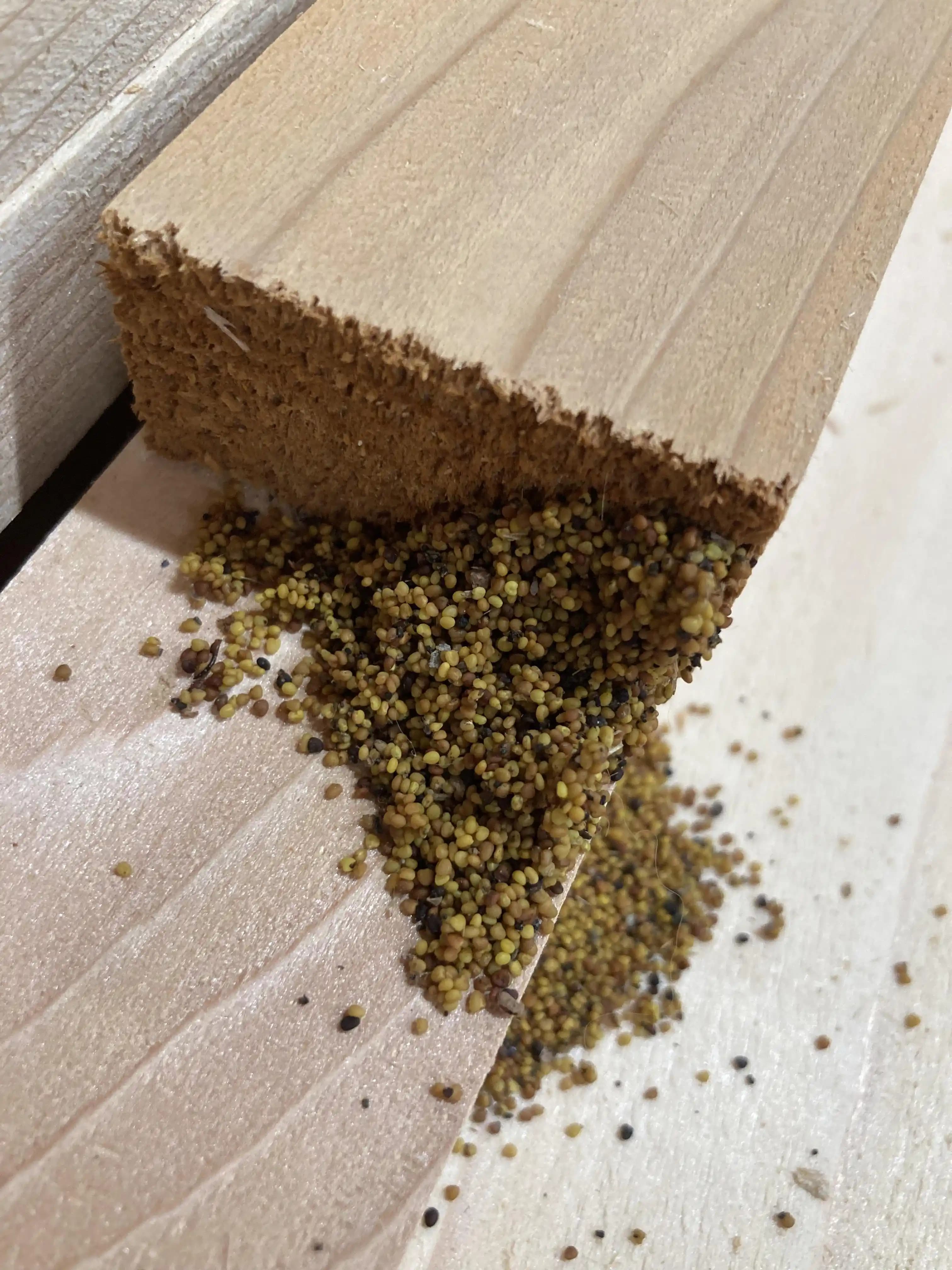 Kurutulmuş Sedir Ahşapta Bulunan Taneciklerin Kaynakları ve Bölgesel Zararlılar Üzerine İnceleme