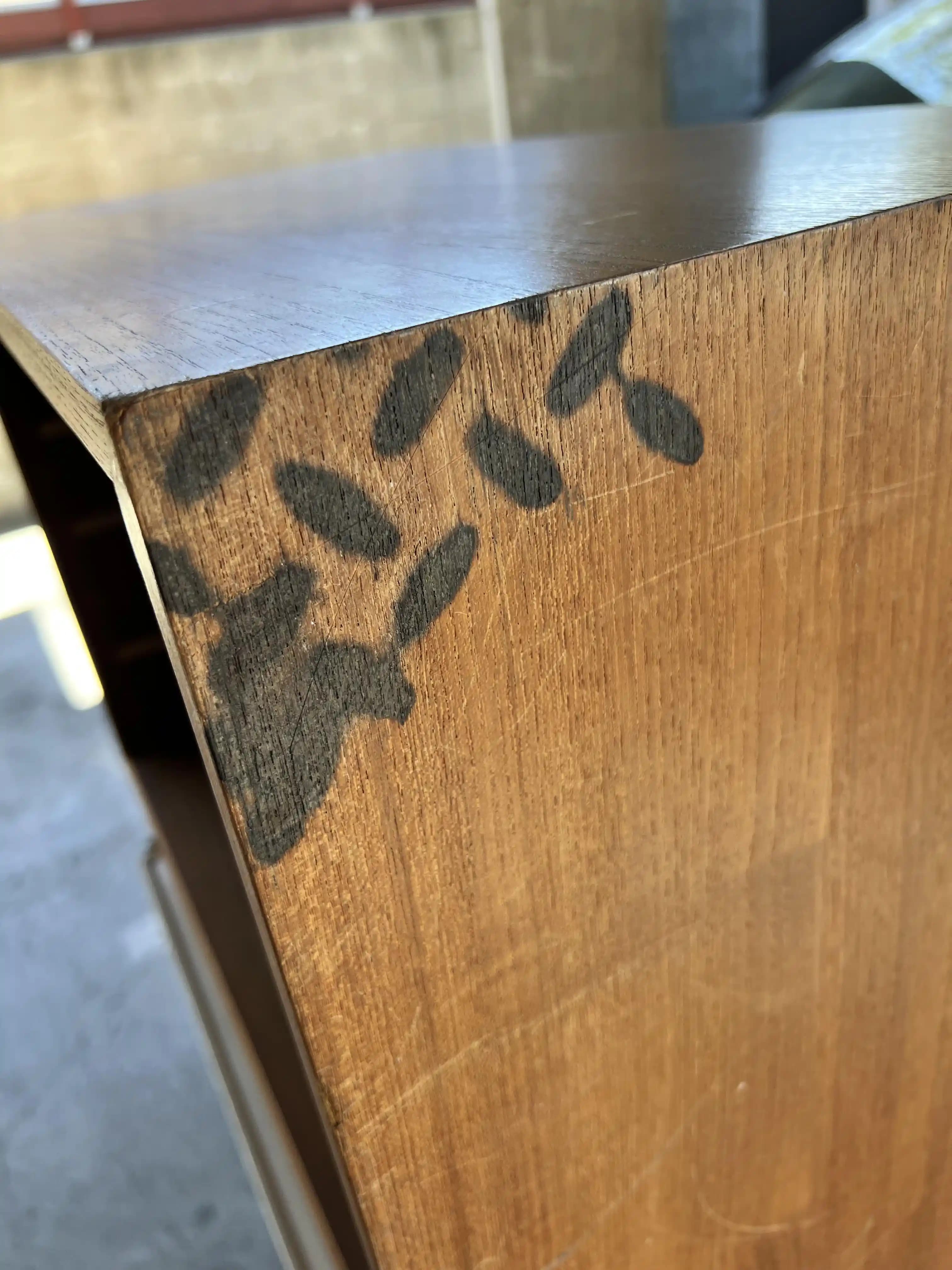 Tik Dolaplarda Siyah Lekelerin Nedenleri ve Etkili Giderme Yöntemleri