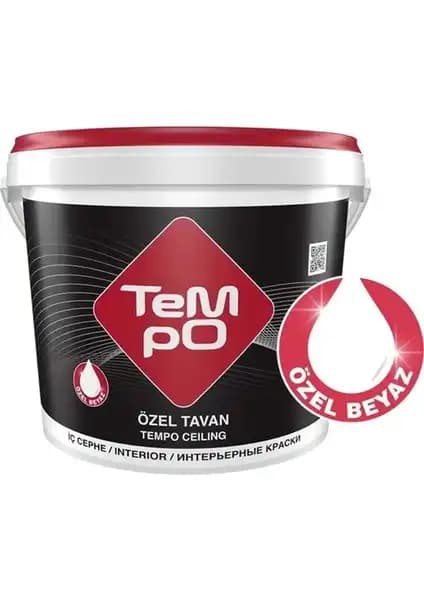 Polisan Dekora ile Tempo Tavan Boyası Karşılaştırması İçin En Uygun Seçenek Nasıl Belirlenir? 2