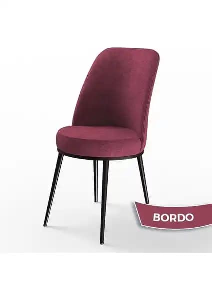 Canisa Concept Dexa ve Canisa Pefa Serisi Mutfak Sandalyeleri Karşılaştırması